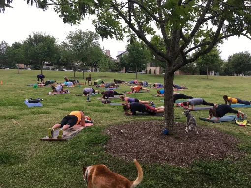 Fitness community training together